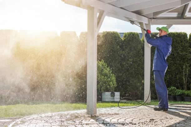 Best Animal Enclosure Cleaning  in Lakewood, WA