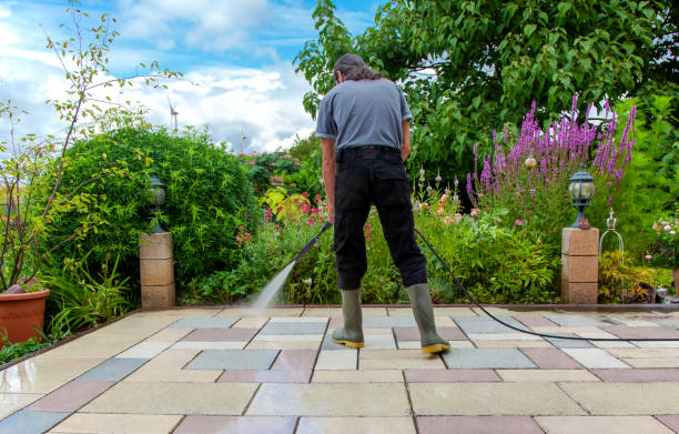 Best Roof Washing  in Lakewood, WA